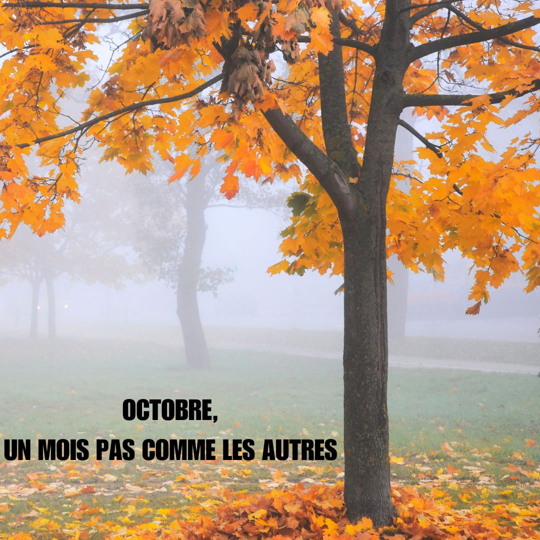 OCTOBRE, UN MOIS PAS COMME LES AUTRES